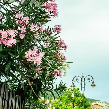 Daire Gorgeous With Pool Steps Away From The Beach Sveti Vlas